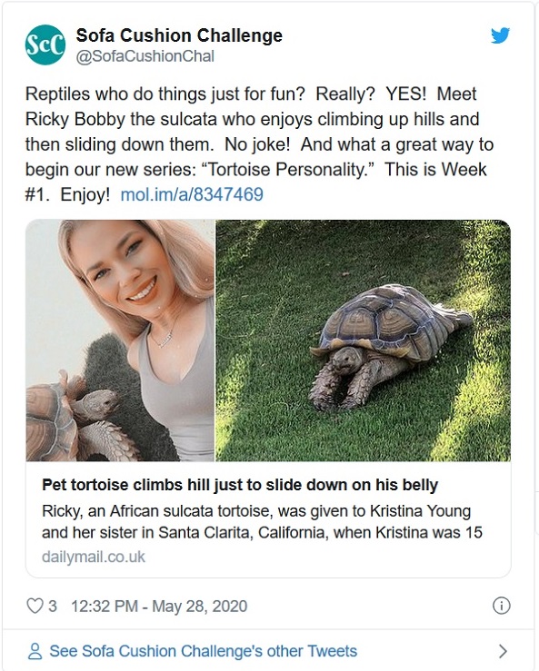 Ricky Bobby the Tortoise with his owner Kristina Young